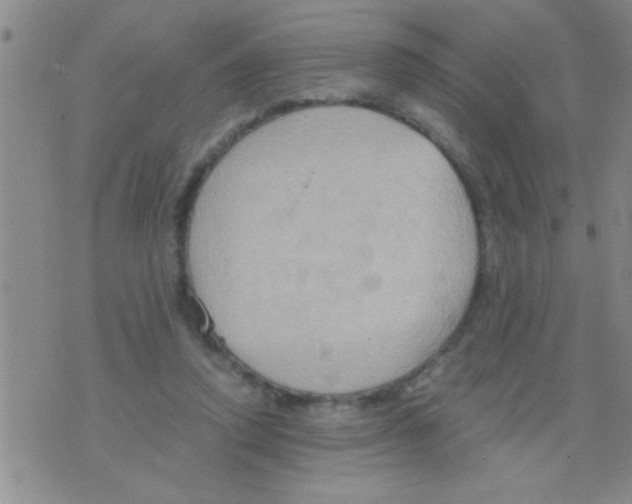 X0000075890354200610151757