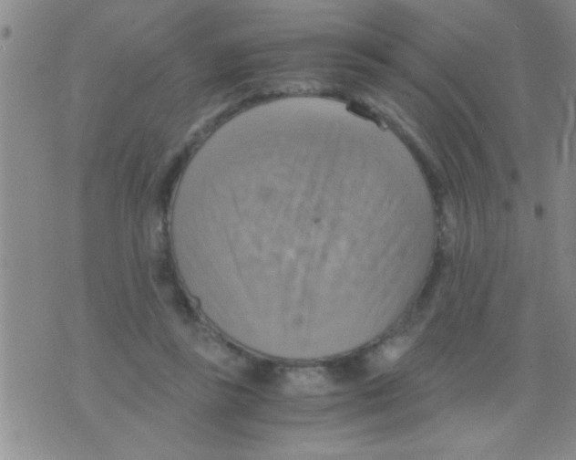 X0000075890355200610151757