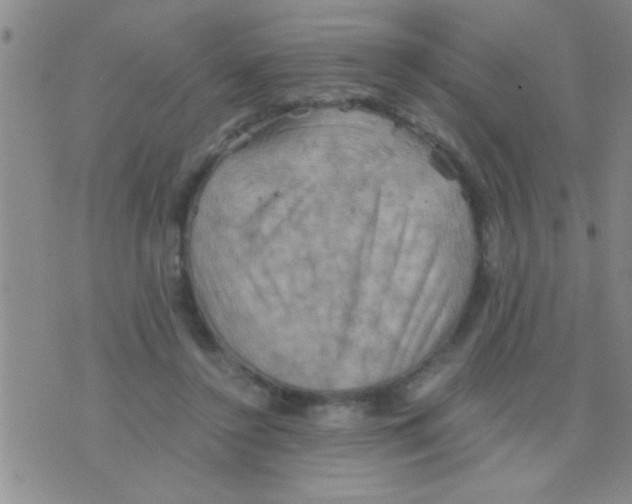 X0000075890356200610151757