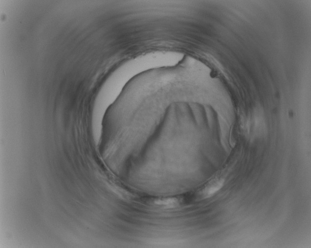 X0000075890357200610151757