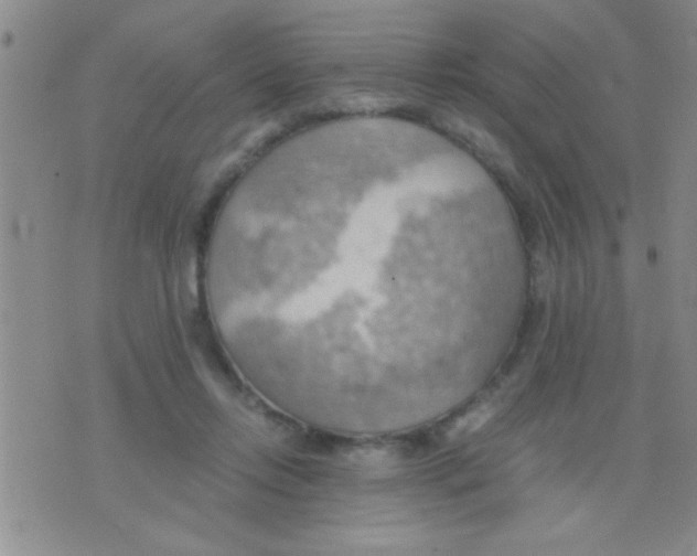 X0000075890358200610151757