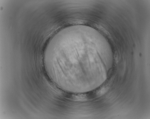 X0000075890359200610151757