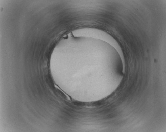 X0000075890360200610151757