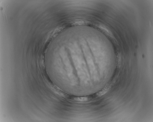 X0000075890361200610151757