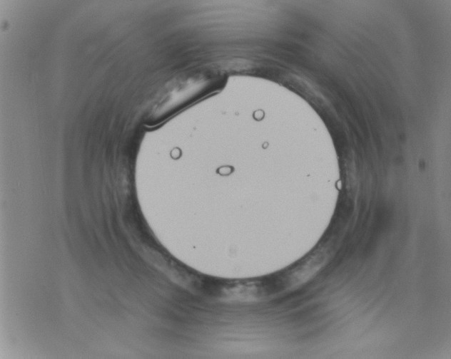 X0000075890362200610151757