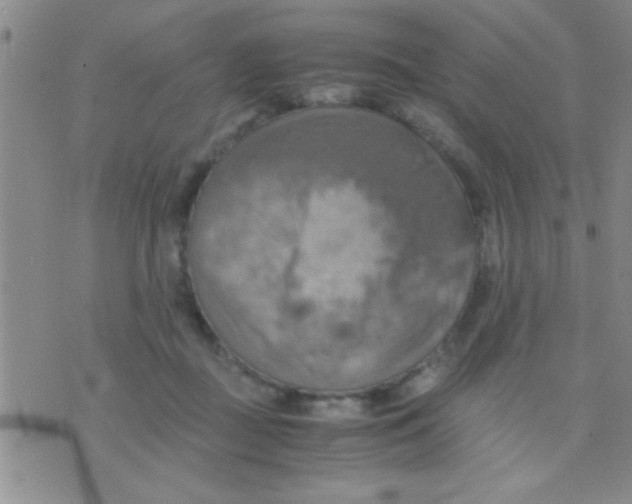 X0000075890363200610151757