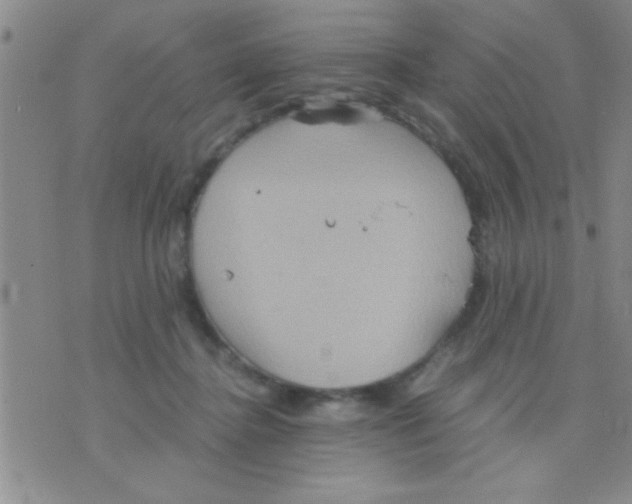 X0000075890364200610151757