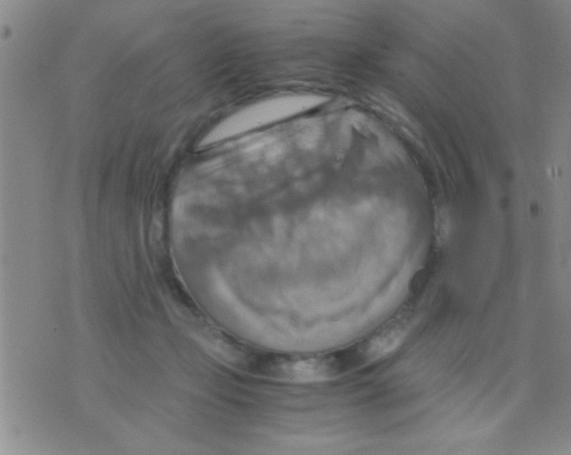 X0000075890365200610151757