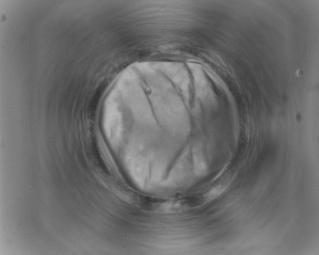 X0000075890366200610151757