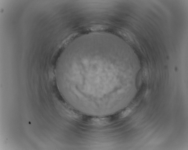 X0000075890367200610151757