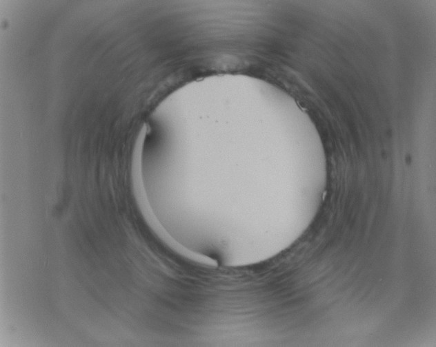 X0000075890368200610151757