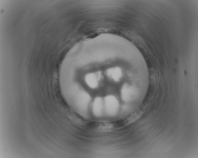 X0000075890369200610151757