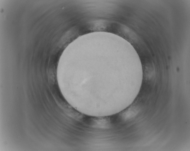 X0000075890370200610151757