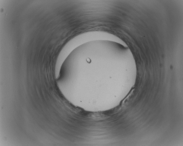 X0000075890372200610151757