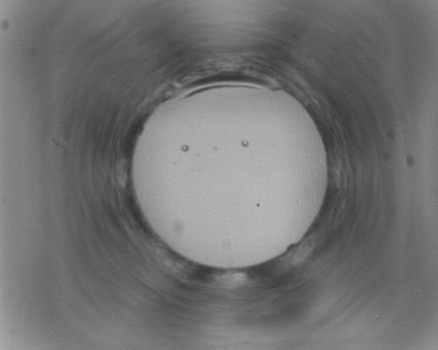 X0000075890374200610151757