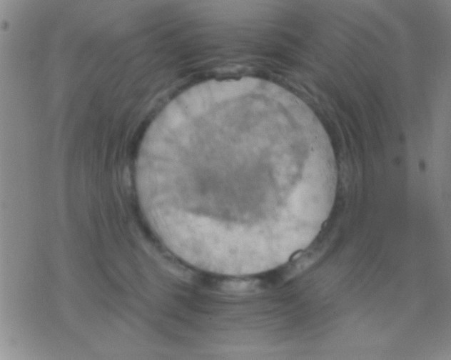 X0000075890375200610151757