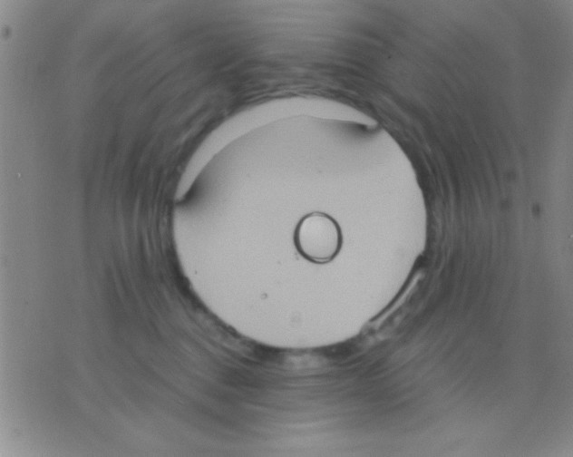 X0000075890376200610151757