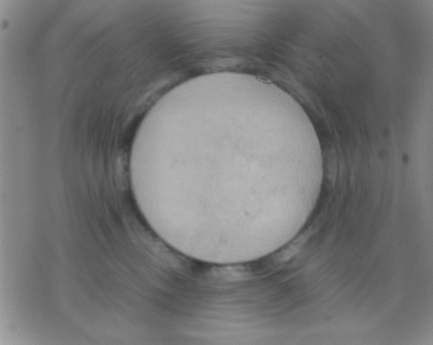 X0000075890378200610151757