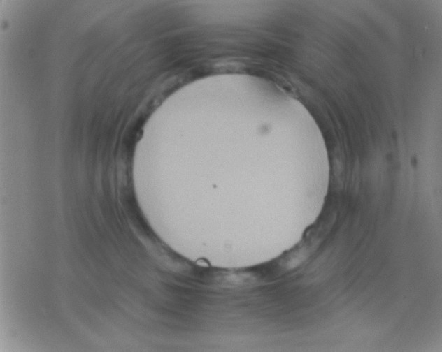 X0000075890379200610151757