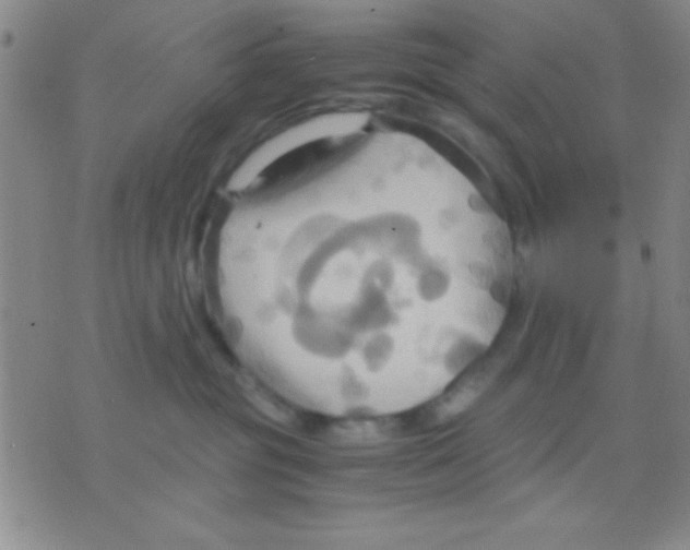 X0000075890381200610151757