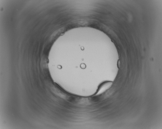 X0000075890384200610151757