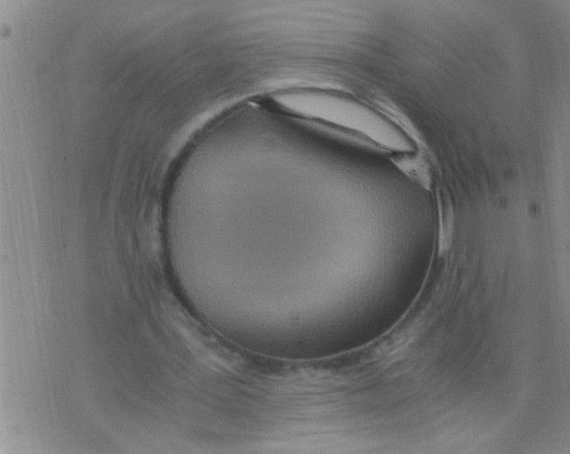 X0000075890387200610151756