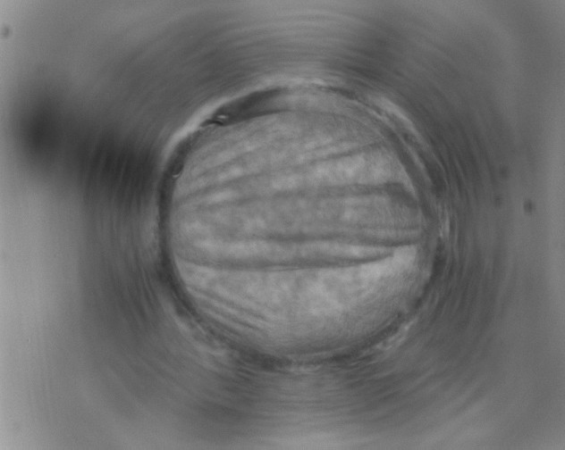 X0000075890388200610151756