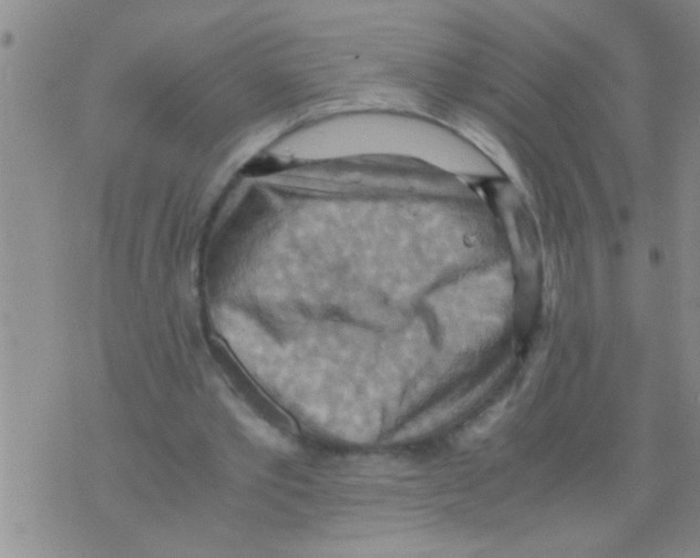 X0000075890389200610151756