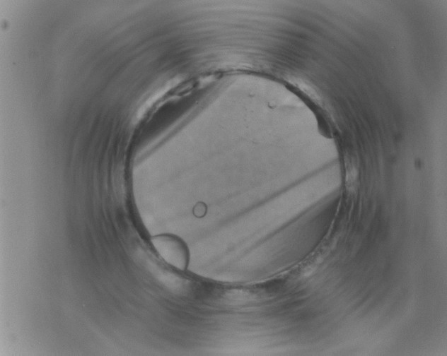 X0000075890390200610151756