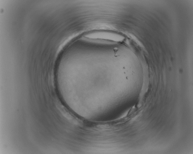 X0000075890391200610151756