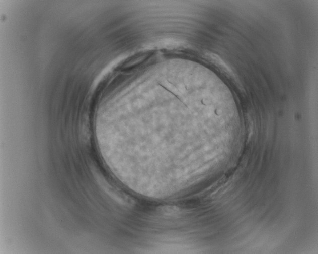 X0000075890392200610151756