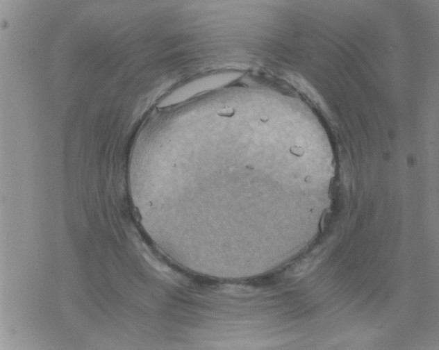 X0000075890393200610151756