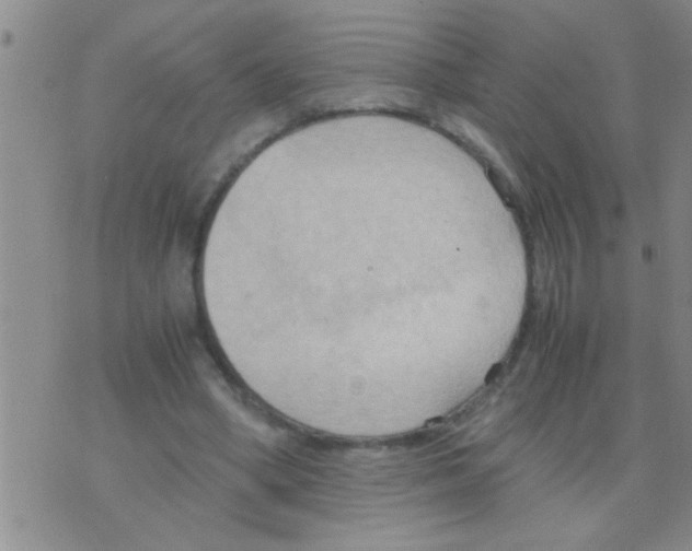 X0000075890394200610151756