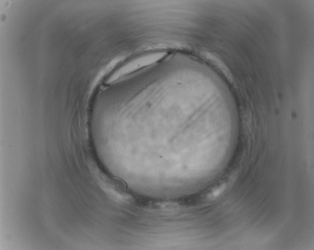 X0000075890395200610151756