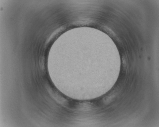 X0000075890396200610151756