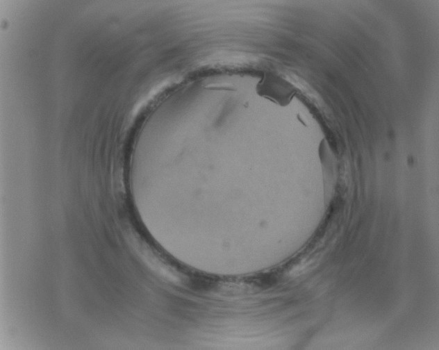 X0000075890399200610151756