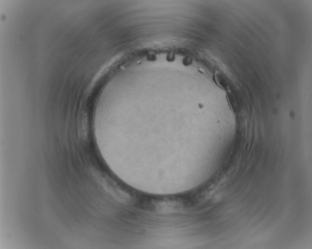 X0000075890400200610151756