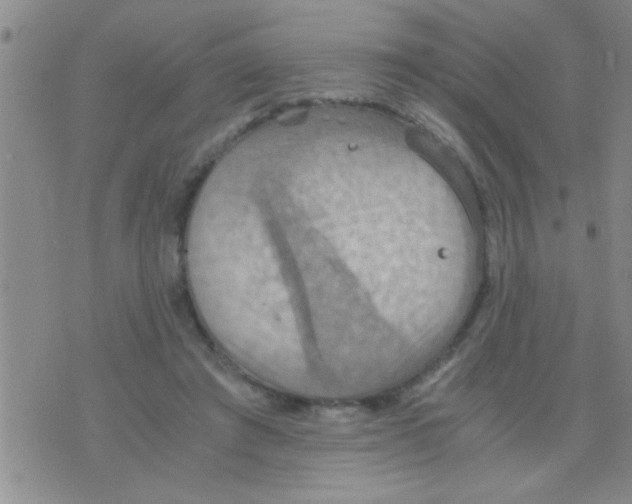 X0000075890401200610151756