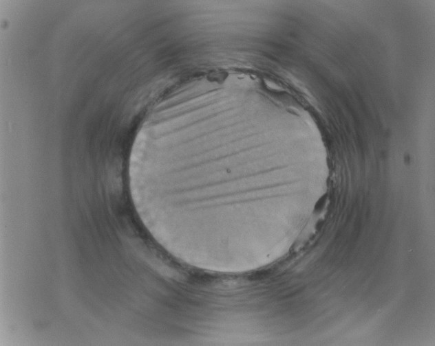 X0000075890402200610151756