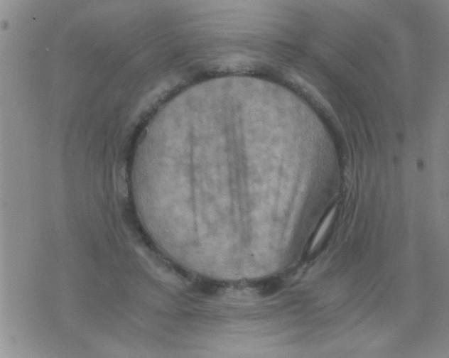 X0000075890403200610151756