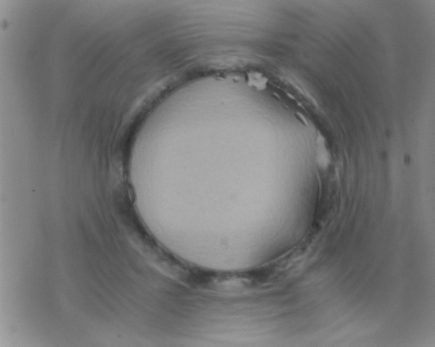 X0000075890407200610151756