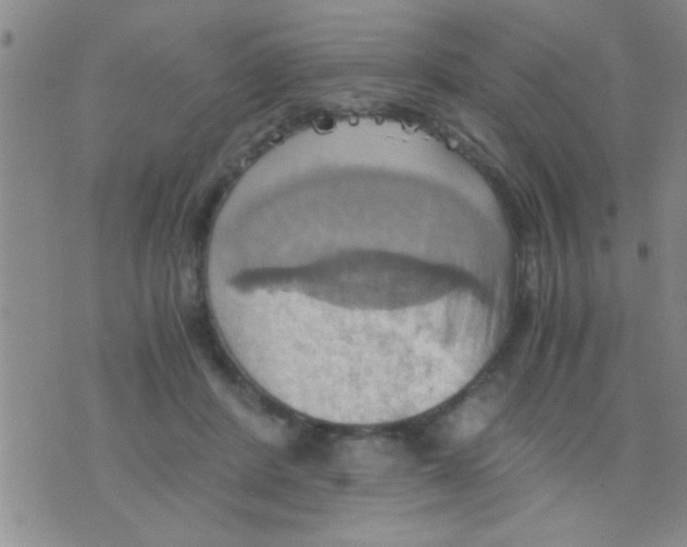 X0000075890408200610151756