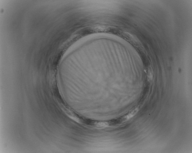 X0000075890409200610151756