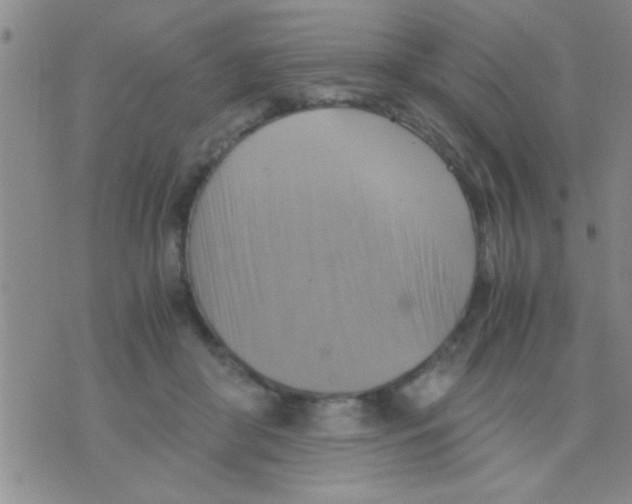 X0000075890410200610151756