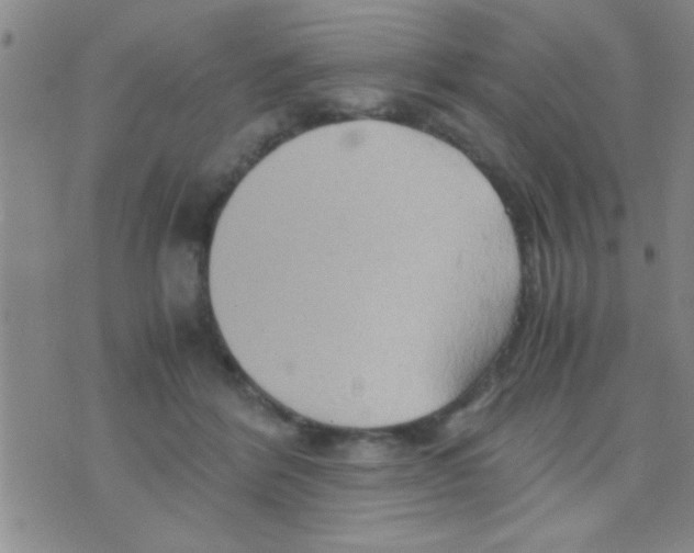 X0000075890412200610151756