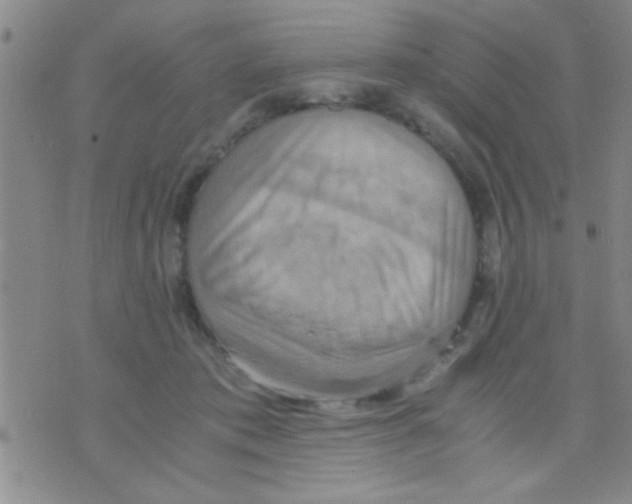 X0000075890413200610151756