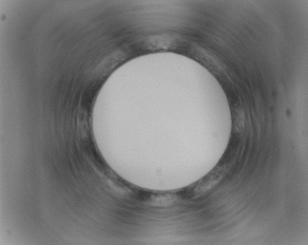 X0000075890414200610151756