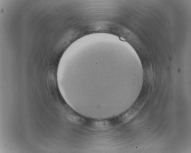 X0000075890415200610151756