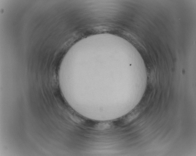 X0000075890418200610151756