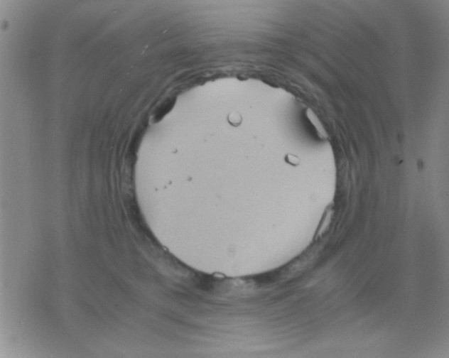 X0000075890421200610151756